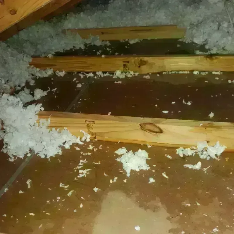 Attic Water Damage in Gillespie County, TX